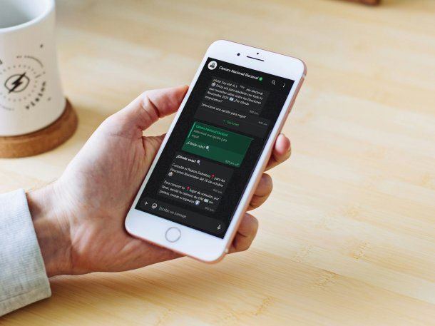 Donde voto: cómo usar el chatbot para preguntas frecuentes sobre la elección de octubre