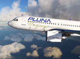 El estado uruguayo deberá pagar una suma millonaria por el caso de Pluna. El estado uruguayo deberá pagar una suma millonaria por el caso de Pluna.