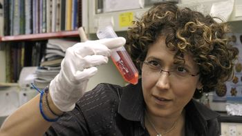 premian a cientifica argentina por sus aportes sobre el virus del dengue premian a cientifica argentina por sus aportes sobre el virus del dengue