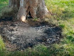 el cuerpo de la mujer encontrado en la ruta 2, no es el de la policia que estan buscando el cuerpo de la mujer encontrado en la ruta 2, no es el de la policia que estan buscando