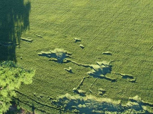 Encuentran misteriosas marcas en un campo de Córdoba