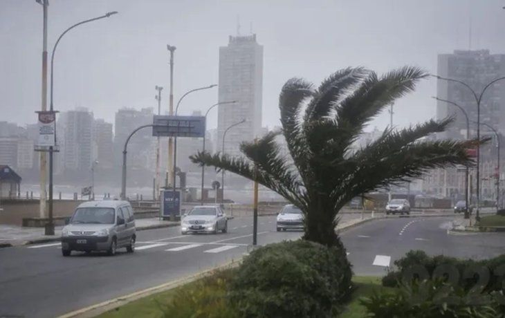 Lluvias, tormentas y vientos fuertes.