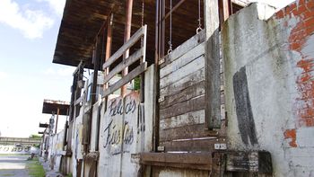 la causa por la rural llego a la corte suprema de justicia la causa por la rural llego a la corte suprema de justicia