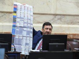 El Senado aprobó la Boleta Única de Papel en general: cuándo se implementaría
