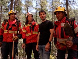 ignacio torres pidio incorporar la figura de ecocidio al codigo penal tras los incendios ignacio torres pidio incorporar la figura de ecocidio al codigo penal tras los incendios