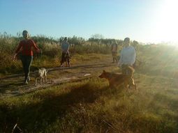 Quieren cerrar un refugio que alberga &nbsp;200 perros en Tres de Febrero&nbsp;