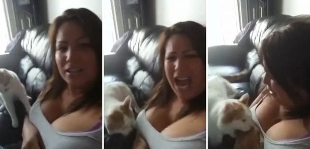 Una mujer intenta regalar a su adorable gatito, pero el video que hizo no ayuda
