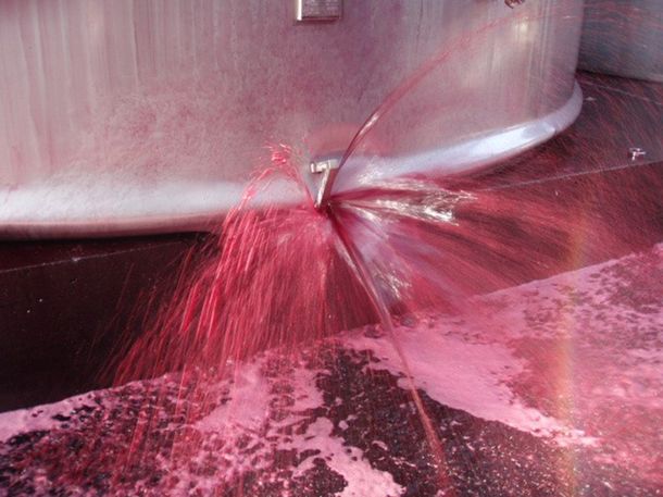 Las paredes de los estanques no resistieron el temblor de 2010