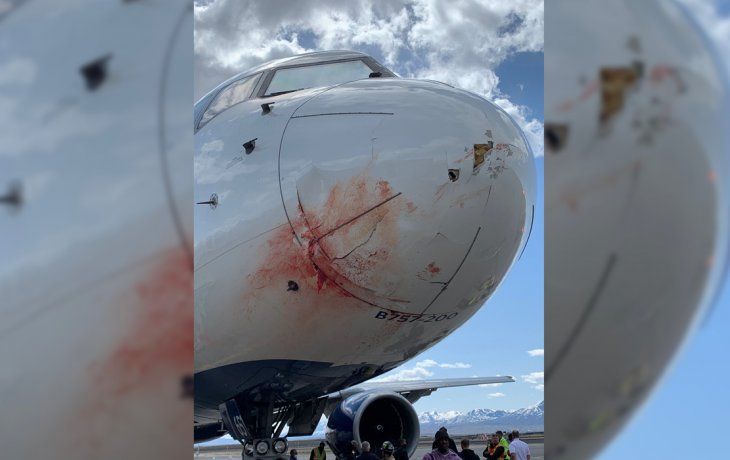 El plantel de Utah Jazz debió aterrizar de emergencia  por una bandada de pájaros