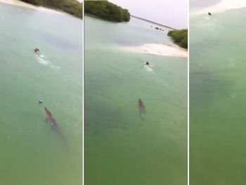 VIDEO: Un chico casi se convierte en presa de un cocodrilo de tres metros
