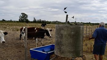 El PIT-CNT pidió un seguro de paro especial que atienda la zafralidad de los trabajadores rurales. El PIT-CNT pidió un seguro de paro especial que atienda la zafralidad de los trabajadores rurales.