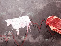 corte por corte, ¿cuanto aumento la carne que comen los argentinos? corte por corte, ¿cuanto aumento la carne que comen los argentinos?