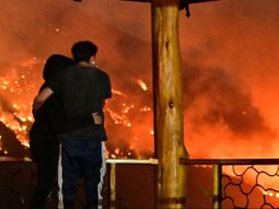 ignacio torres pidio incorporar la figura de ecocidio al codigo penal tras los incendios ignacio torres pidio incorporar la figura de ecocidio al codigo penal tras los incendios