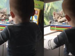 el tierno video de lorenzo tinelli y su mascota es furor en la web el tierno video de lorenzo tinelli y su mascota es furor en la web