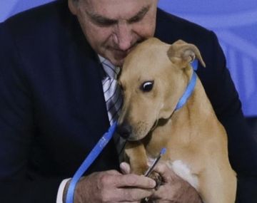 Jair Bolsonaro hizo firmar a un perro una ley contra el maltrato animal