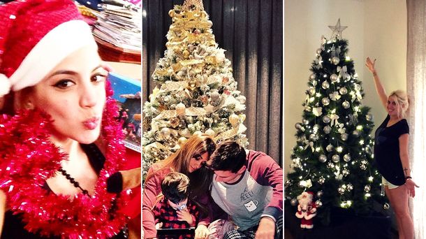 Palpitando Navidad: mirá a los famosos con su arbolito