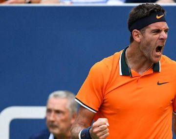 Juan Martín Del Potro festeja en el US Open