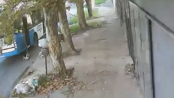 El niño sufrió quemaduras y golpes, además de que tiene un fuerte hematoma en el tobillo. El niño sufrió quemaduras y golpes, además de que tiene un fuerte hematoma en el tobillo.