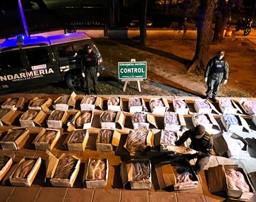 Viernes Santo insalubre: detectan una tonelada de pescado camuflado entre cajones de verdura