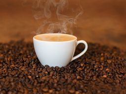 Por un hongo, América Latina puede quedarse sin café