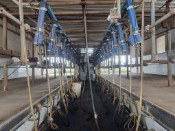 Sancor trabaja al mínimo de su capacidad: despidieron a 350 empleados