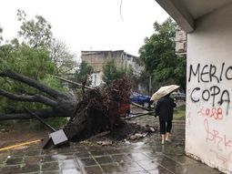Alerta por tormentas y caída de granizo en la provincia de Buenos Aires