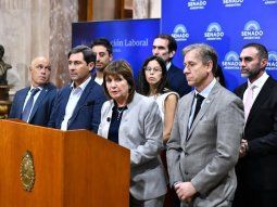 El Senado prorrogó el programa nacional de entrega voluntaria de armas hasta diciembre de 2027. Foto: NA. El Senado prorrogó el programa nacional de entrega voluntaria de armas hasta diciembre de 2027. Foto: NA.