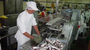 El sector pesquero uruguayo se encuentra en crisis por problemas de rentabilidad. El sector pesquero uruguayo se encuentra en crisis por problemas de rentabilidad.