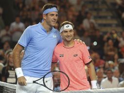 Juan Martín Del Potro y David Ferrer Juan Martín Del Potro y David Ferrer