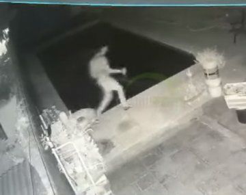 VIDEO: Intentó robar un auto