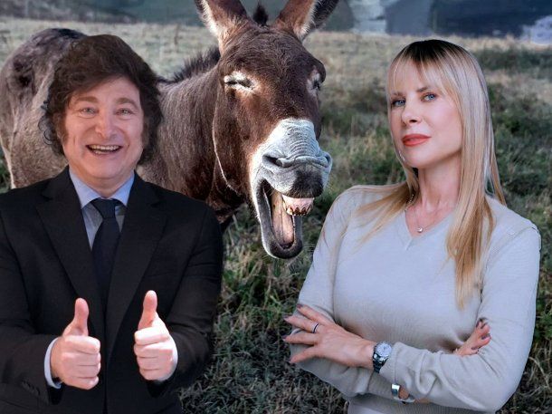 Increíble pero real: Karen Reichardt quiere ser diputada y no sabe cómo se presenta un proyecto de ley
