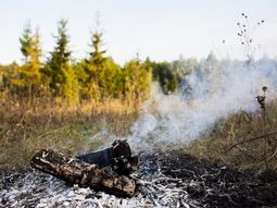 Las altas temperaturas y la sequía han disparado varios focos de incendios en todo el país. Las altas temperaturas y la sequía han disparado varios focos de incendios en todo el país.