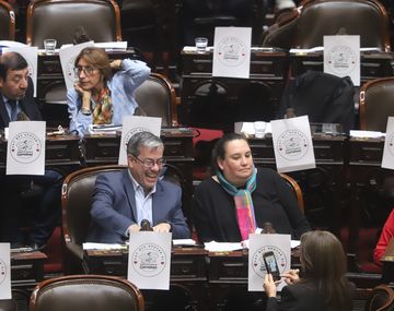 Diputados aprobó por amplia mayoría la ley de emergencia en Discapacidad