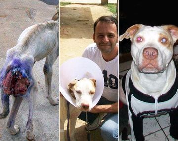 Una historia de amor: rescató a un perro y lo salvó de una muerte segura