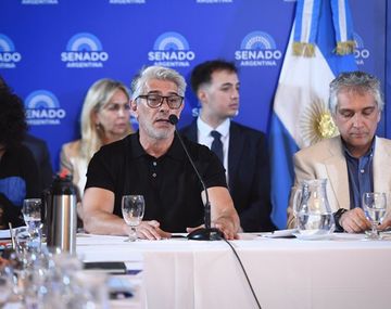 Echarri cuestionó con dureza la reforma laboral en el Senado: Regresiva y ruinosa