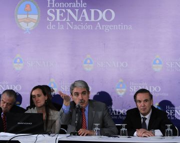 Capitanich denunció ante el Senado maniobras de terrorismo económico