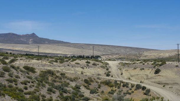 Neuquén: un chico de 14 años murió aplastado por un caballo en un festival de doma