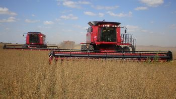 El complejo agroexportador, el gran beneficiado del macrismo El complejo agroexportador, el gran beneficiado del macrismo