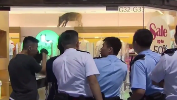 jabali se metio en un shopping e hizo destrozos jabali se metio en un shopping e hizo destrozos