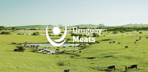 Uruguay Meats es la nueva marca con la que las carnes uruguayas serán promocionadas en el mundo.