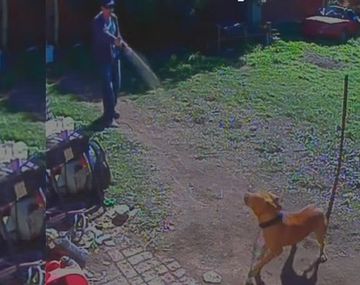 Un policía le tira gas pimienta a un perro que estaba encadenado: mirá el video