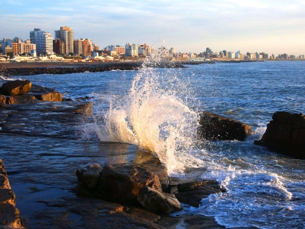 Mar del Plata se convierte en un nuevo destino estratégico para el avistaje de ballenas