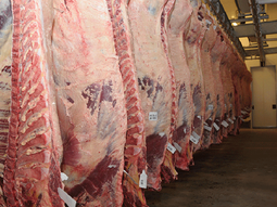 La operación Minerva-Marfrig será evaluada por Defensa de la Competencia. La operación Minerva-Marfrig será evaluada por Defensa de la Competencia.