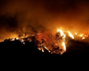 Málaga en llamas: evacúan a más de 2 mil personas por el avance de un gran incendio forestal