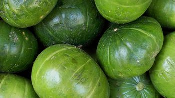 se disparo el precio de los zapallitos y piden no comprar se disparo el precio de los zapallitos y piden no comprar