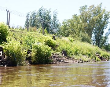 Hallaron un cuerpo en el río Luján 