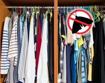 Cinco trucos caseros para cuidar tu ropa de las polillas