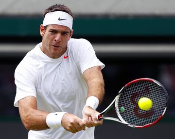 Del Potro le ganó a Seppi a pesar del dolor