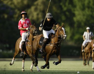 Un hombre robaba caballos de polo para hacer chorizos y salamines