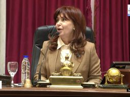 Día clave en el Senado: debaten Ganancias y Alquileres